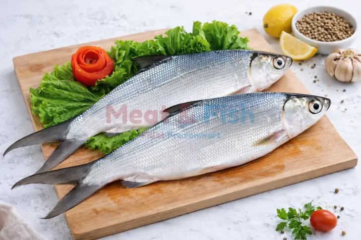 Ikan Bandeng Beku