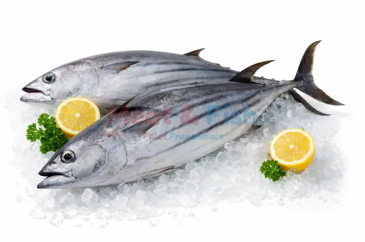 Ikan Cakalang Beku