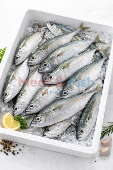 Ikan Kembung Beku