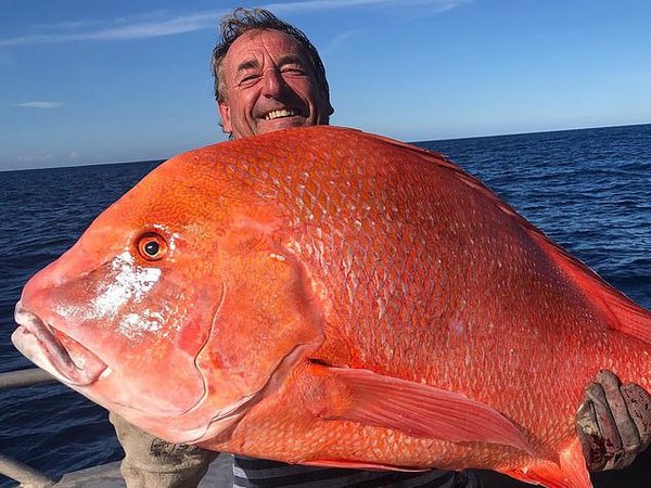 ikan kakap merah