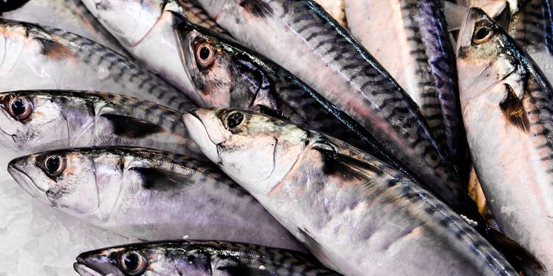 ikan omega 3