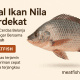 jual ikan nila terdekat