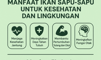 Manfaat Ikan Sapu-Sapu