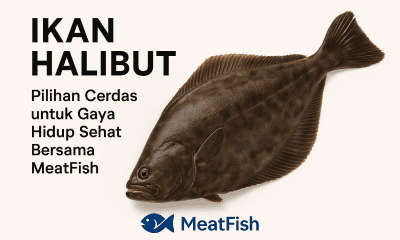 Ikan Halibut