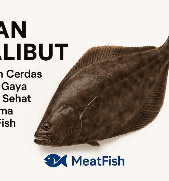 Ikan Halibut