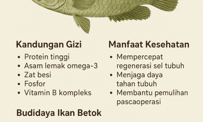 Ikan Betok