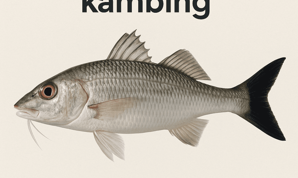 Ikan Kambing Kambing
