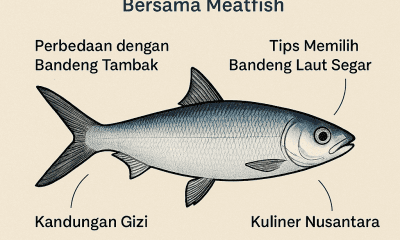 Mengenal Bandeng Laut