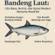 Mengenal Bandeng Laut