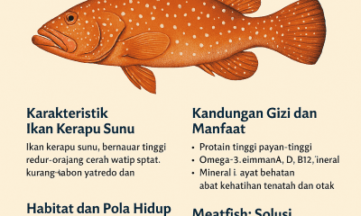 Ikan Kerapu Sunu