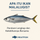 Ikan Malalugis