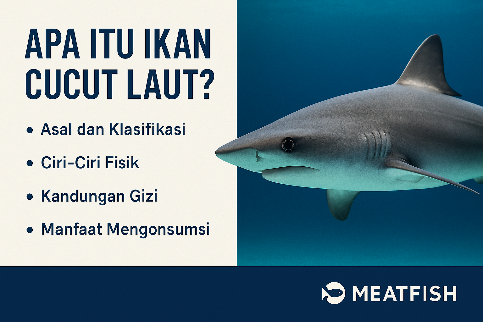 ikan cucut laut
