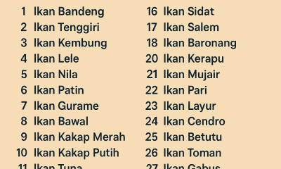 Nama Ikan di Pasar