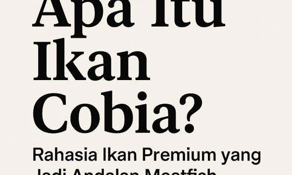 Ikan Cobia