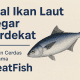 Jual Ikan Laut Segar Terdekat
