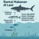 Rantai Makanan di Laut