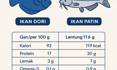 Ikan Dori vs Patin