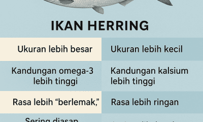 Ikan Herring vs Sarden