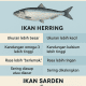 Ikan Herring vs Sarden