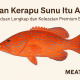 ikan kerapu sunu