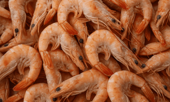 Udang Beku