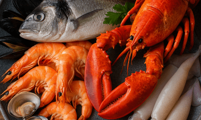 Binatang yang Biasa Disajikan di Seafood