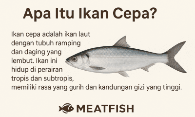 ikan cepa