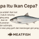 ikan cepa