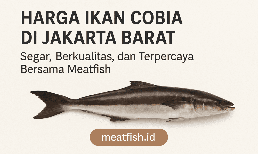 Harga Ikan Cobia