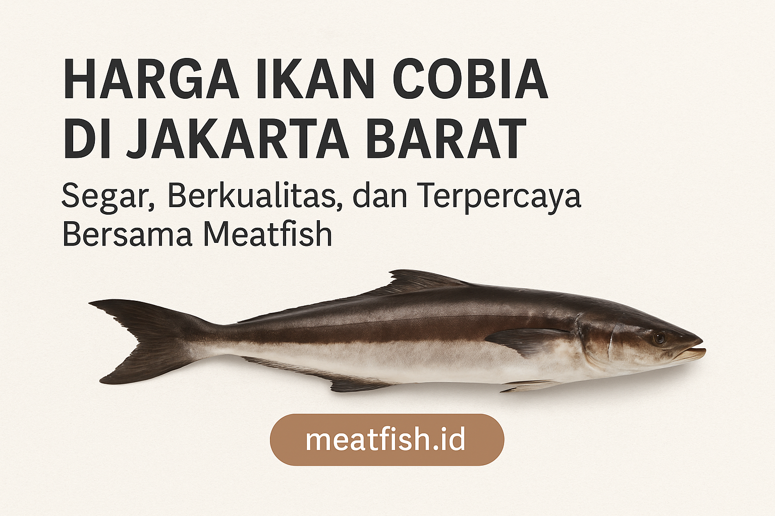 Harga Ikan Cobia