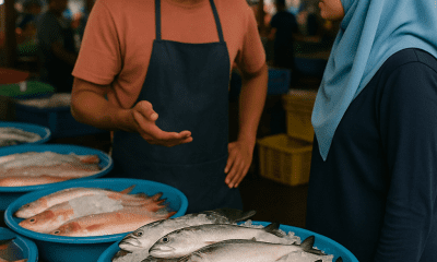 Resiko Dagang Ikan di Pasar