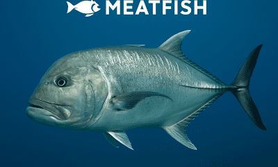 Giant Trevally
