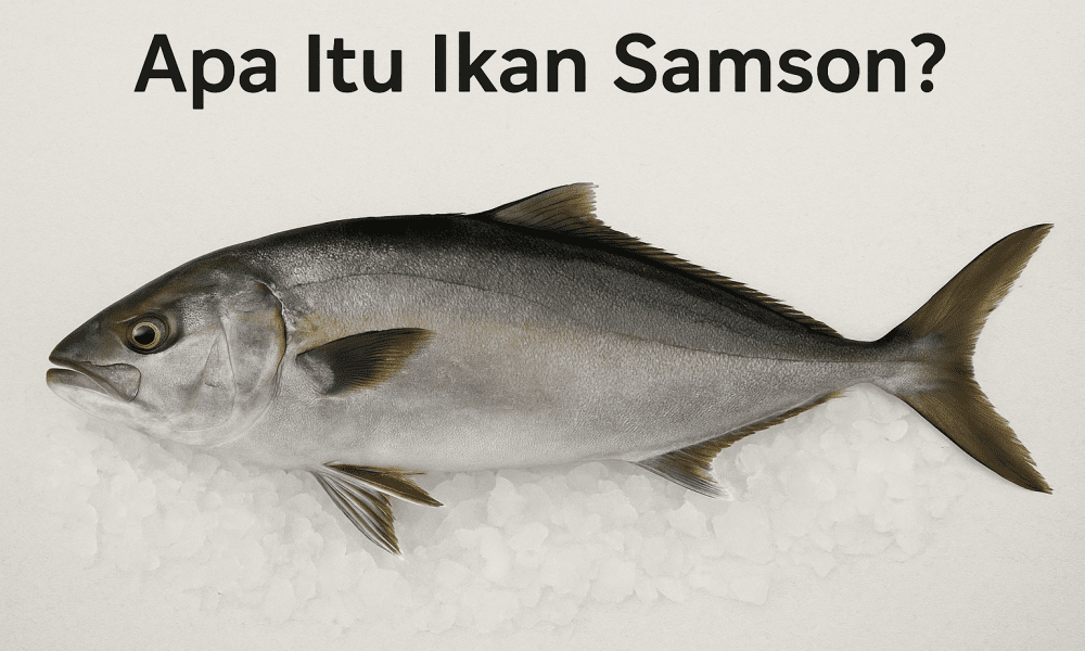 Ikan Samson