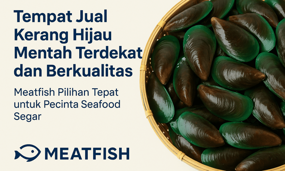 Tempat Jual Kerang Hijau Mentah Terdekat