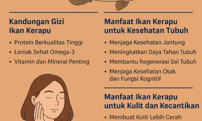 Manfaat Ikan Kerapu
