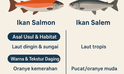 Perbedaan Ikan Salem dan Salmon