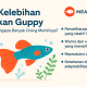 kelebihan ikan guppy