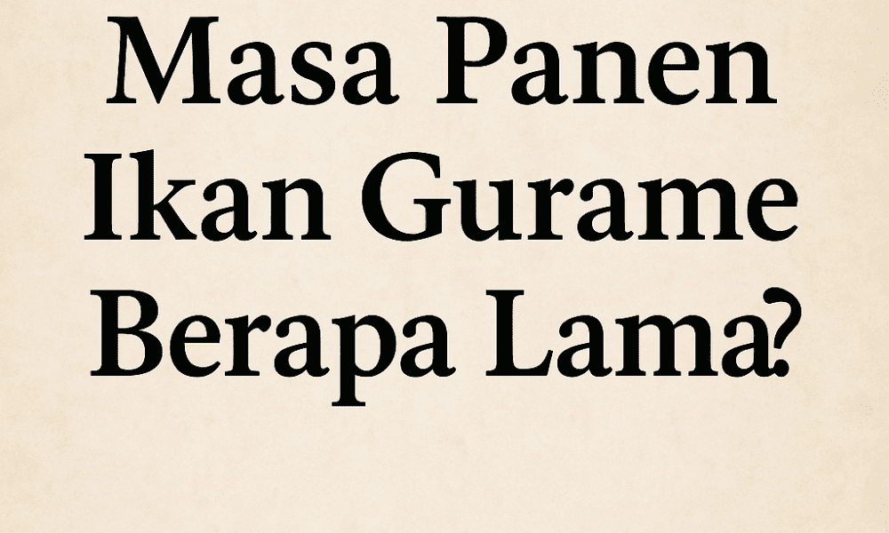 masa panen ikan gurame