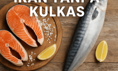 cara menyimpan ikan tanpa kulkas