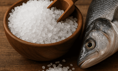 fungsi garam ikan