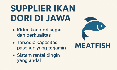 memilih supplier ikan dori