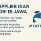 memilih supplier ikan dori