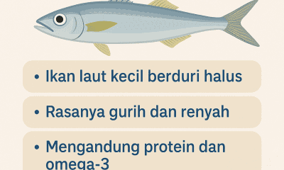 Ikan Togek