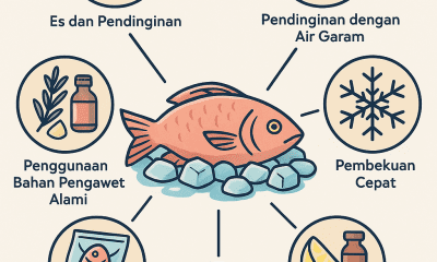 Pengawet untuk Ikan
