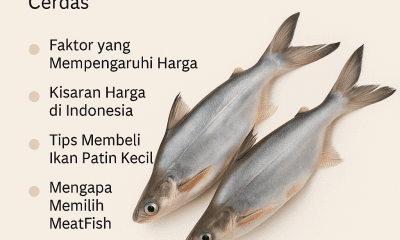 harga ikan patin kecil