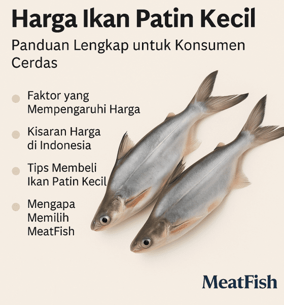 harga ikan patin kecil