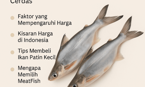 harga ikan patin kecil