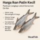 harga ikan patin kecil