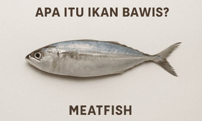 ikan bawis