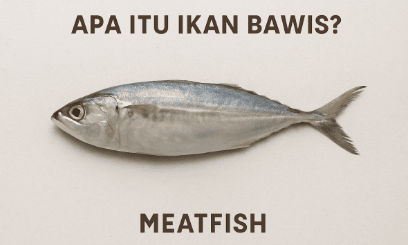 ikan bawis